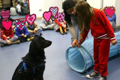 La pet therapy: cani, gatti, asini e pappagalli in aiuto di chi soffre